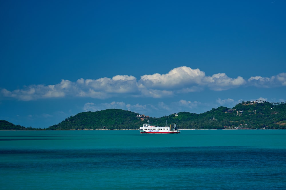 white and red ship on sea during daytime