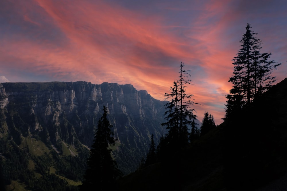 green trees on mountain during sunset