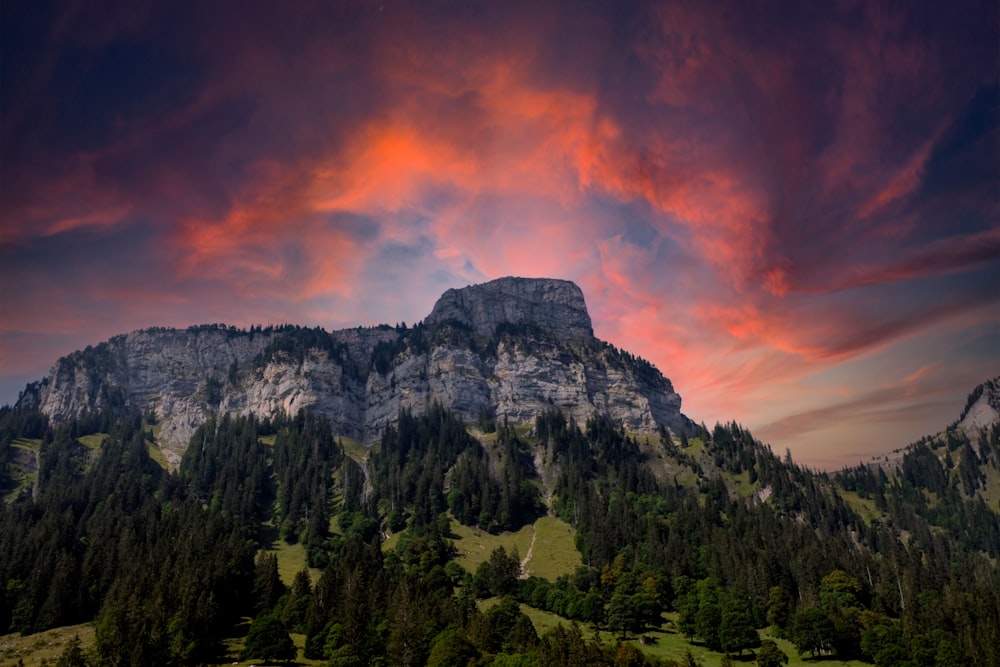 green trees on mountain under orange sky