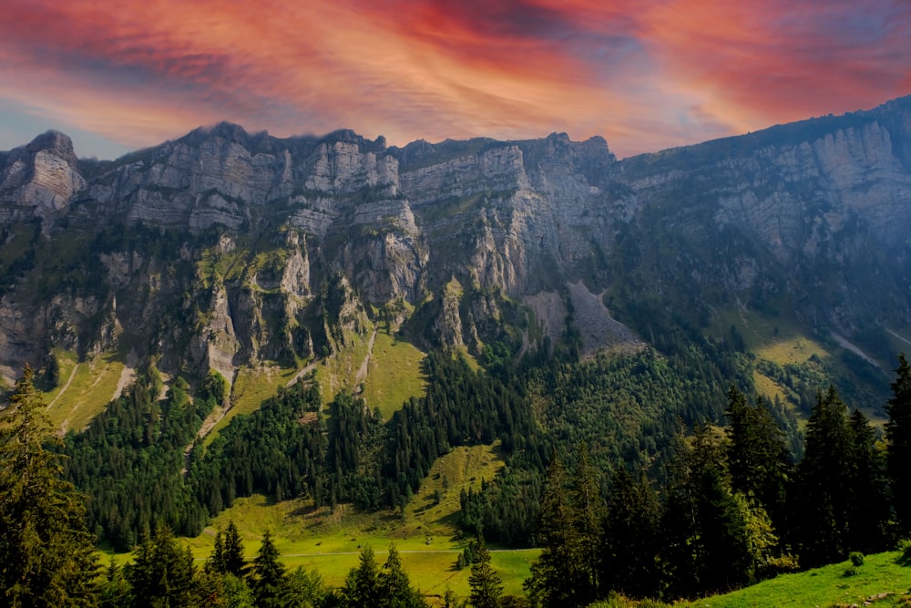 Alberi verdi sulla montagna durante il tramonto