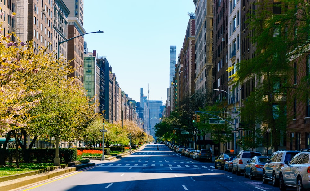 cars parked on sidewalk near high rise buildings during daytime