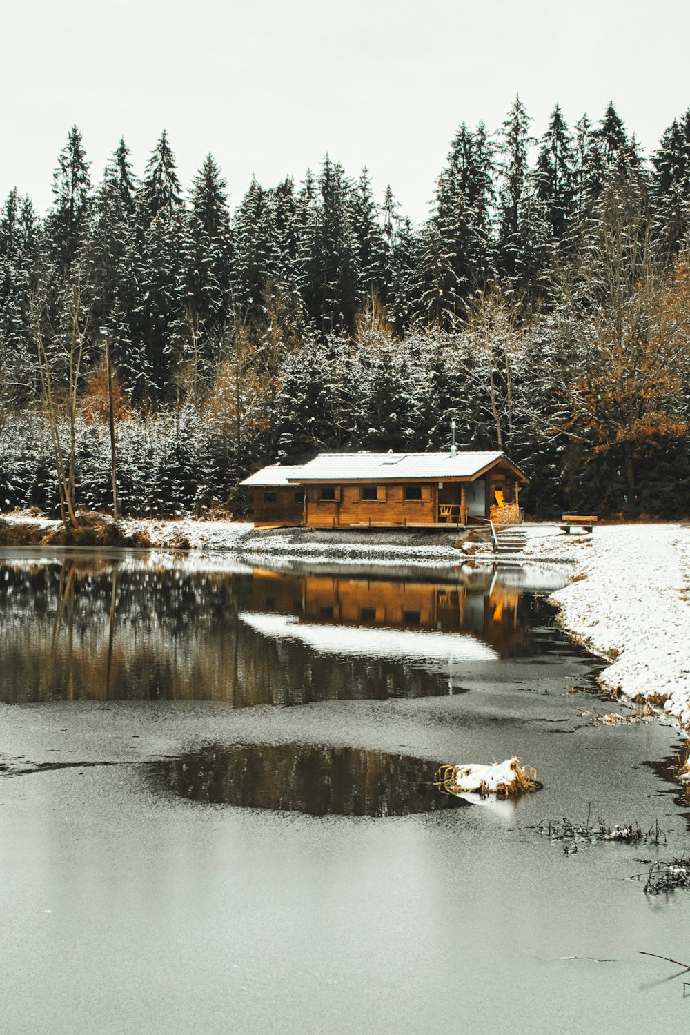 Braunes Holzhaus in der Nähe des Sees, tagsüber von Bäumen umgeben