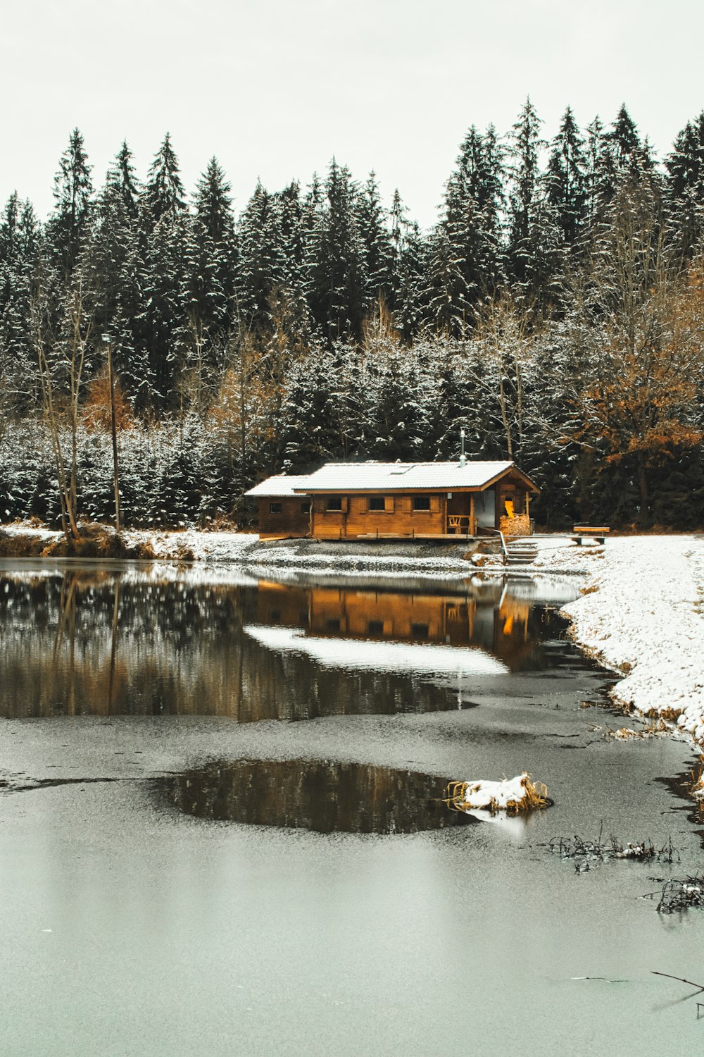 brown wooden house near lake surrounded by trees during daytime