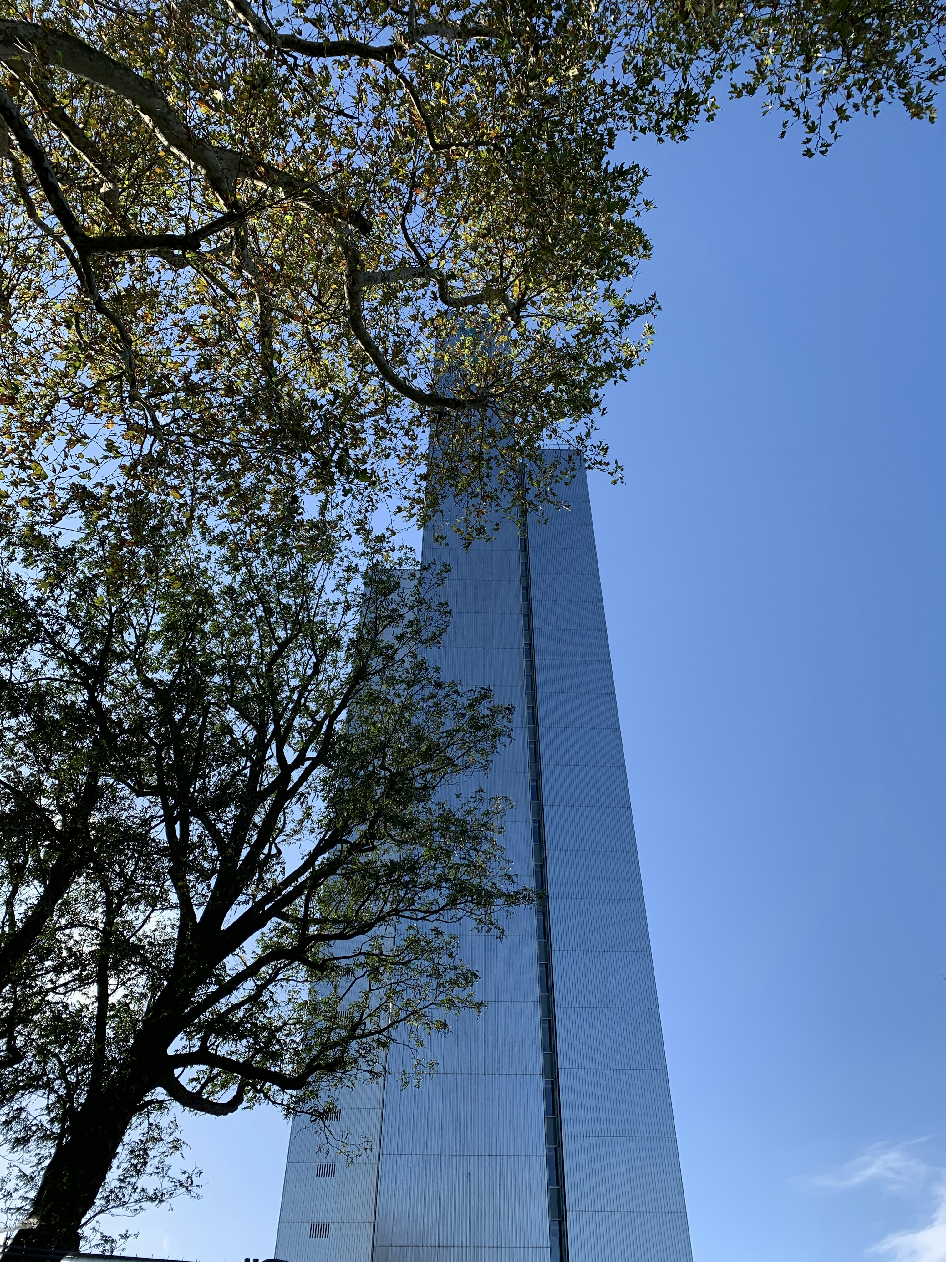 gray high rise building during daytime