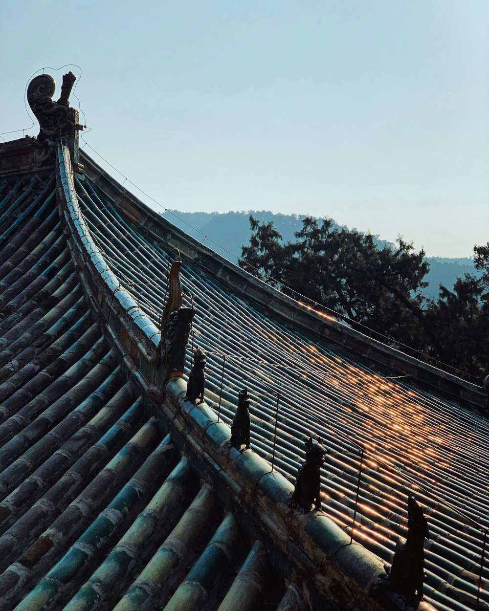 brown roof near green trees during daytime