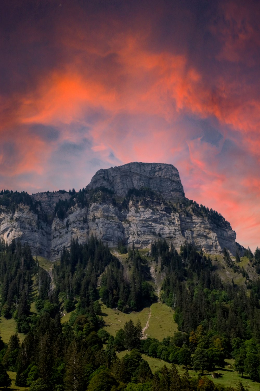 green trees on mountain under orange sky