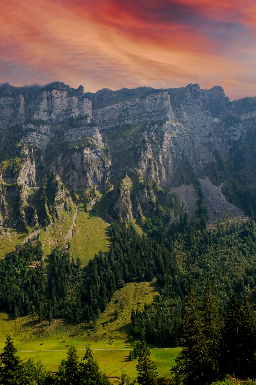 alberi verdi sulla montagna durante il giorno