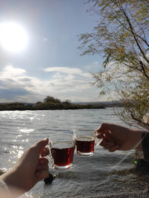 Hands holding a warm cup of abanoz tea against a backdrop of green tea fields.