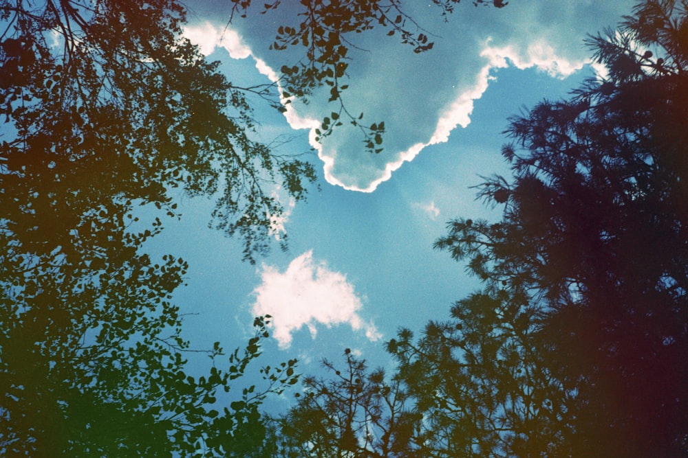 blue and white lightning on blue sky