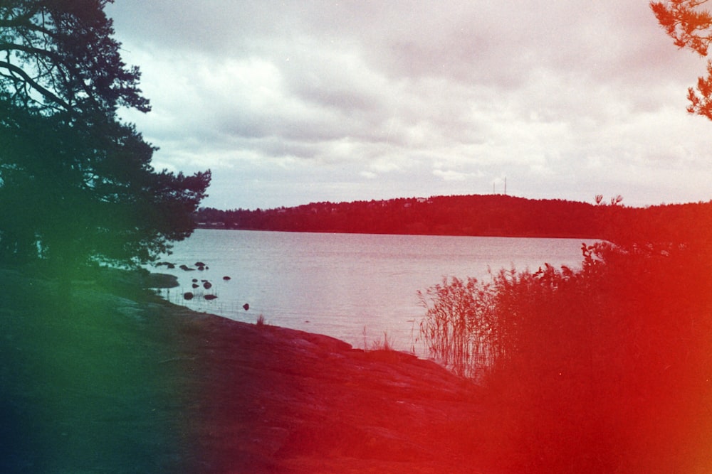 body of water near trees under cloudy sky during daytime