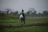 Farmer using a sturdy machete from Porvenir Verde in a lush green field.