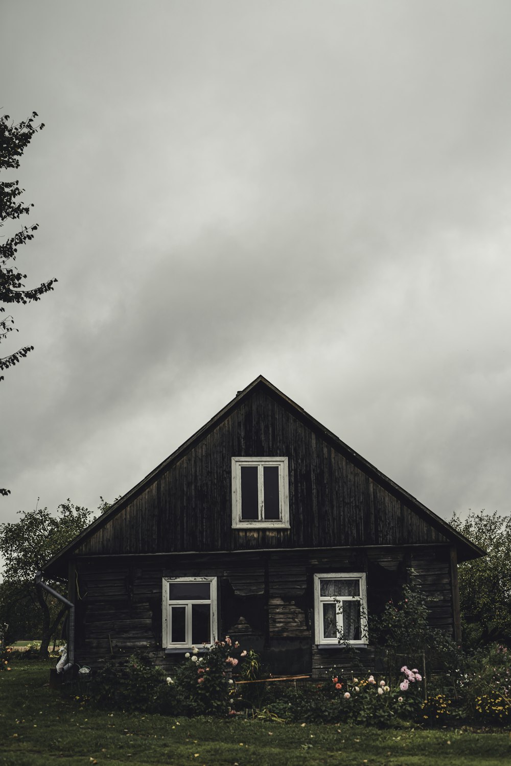 brown wooden house under white clouds