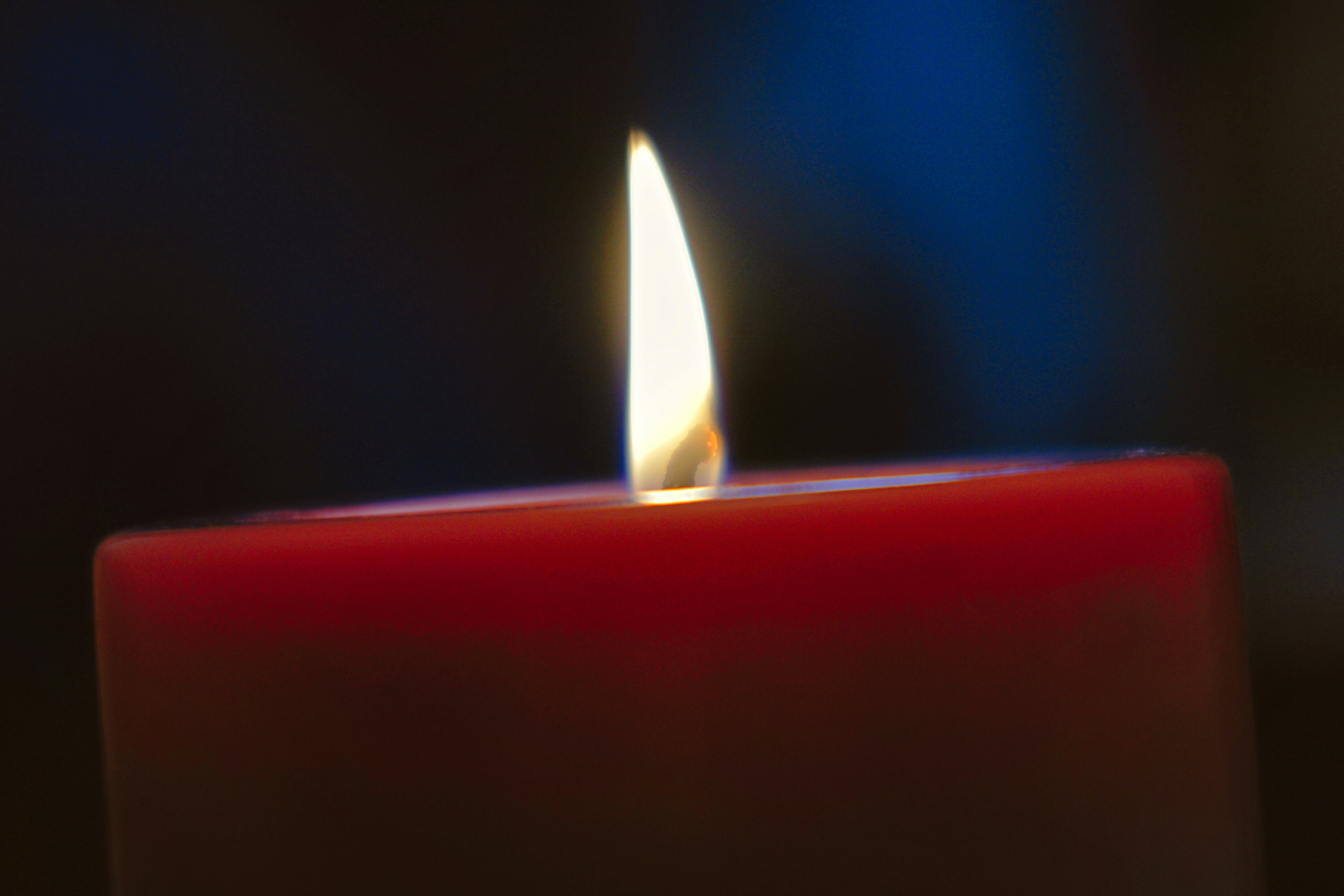 Photo by thomaskinto