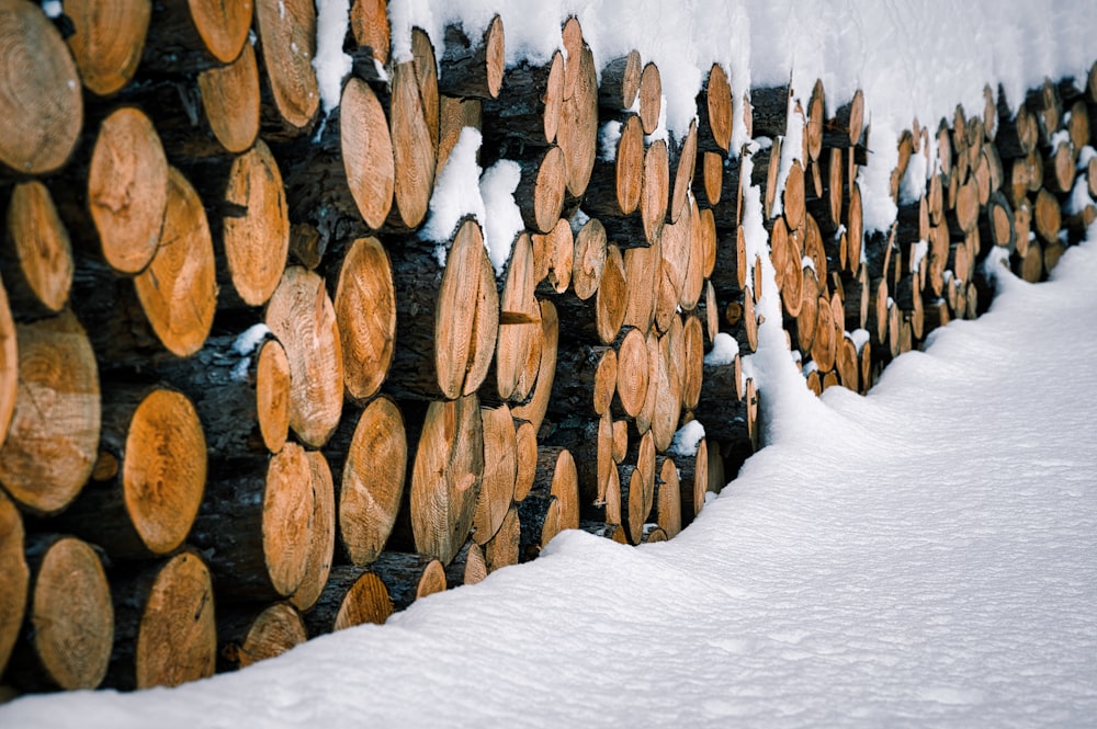 brown wooden logs on snow covered ground