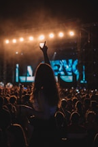 people watching concert during night time
