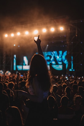 Persona de espaldas con mano levantada durante un concierto en la noche  con escenario desenfocado 