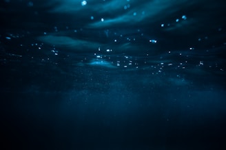A deep underwater scene with low visibility. Soft light filters through the water, creating a dark, mysterious atmosphere. Tiny bubbles and particles are visible floating around, accentuating the stillness and depth of the scene.