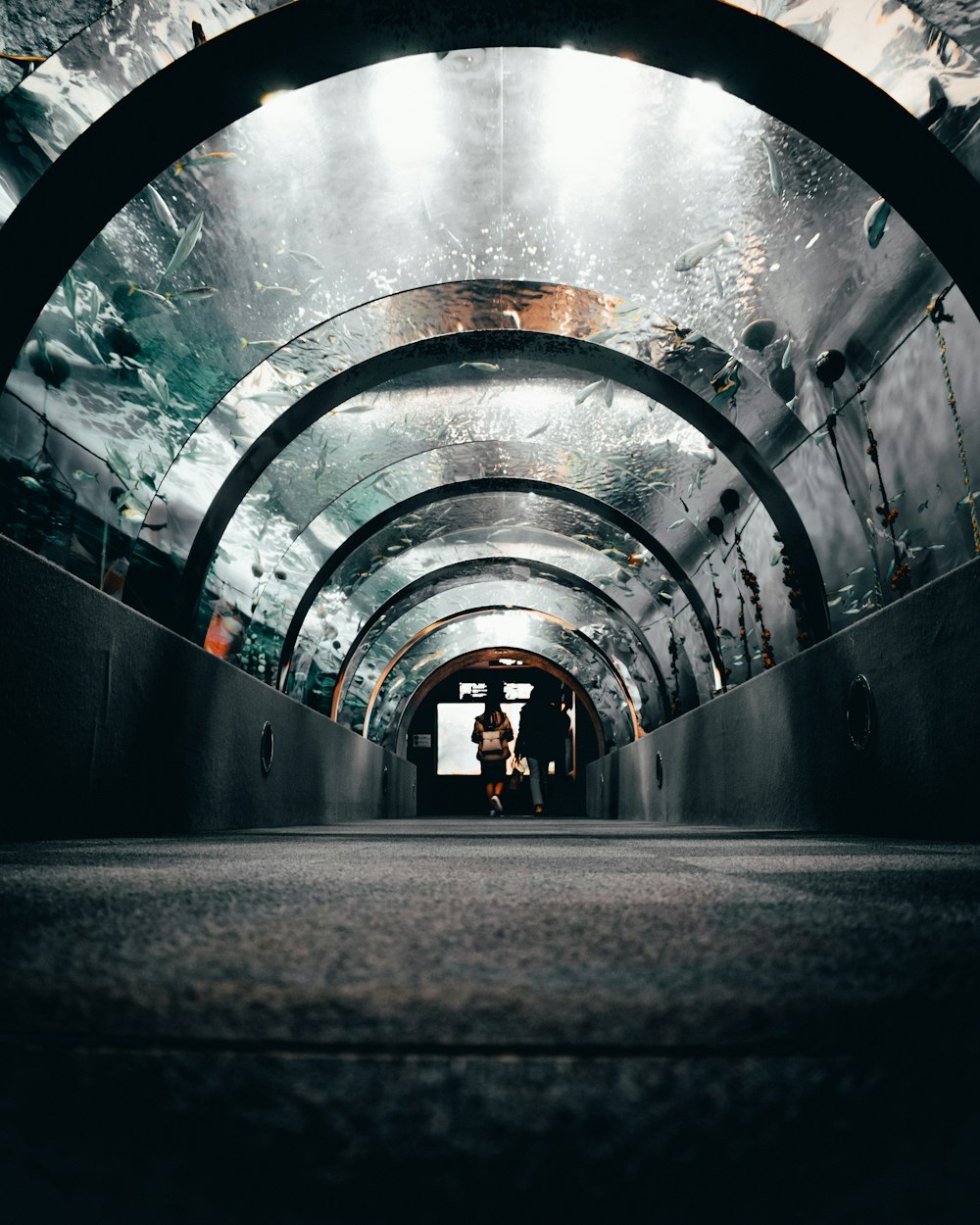 man in black jacket standing on tunnel