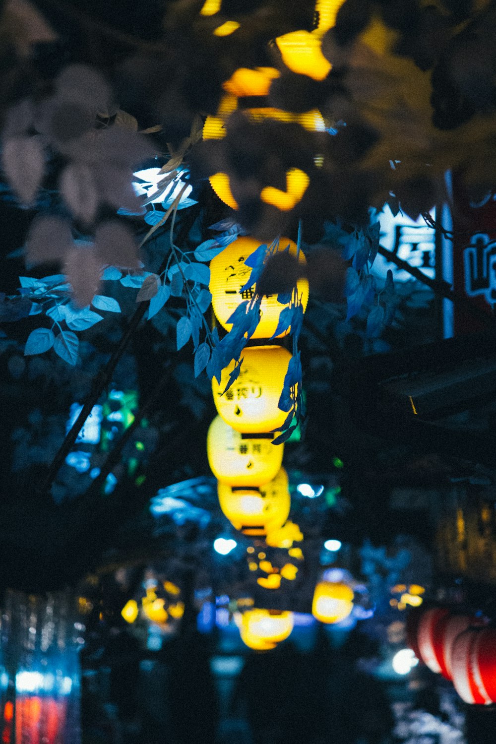 yellow string lights turned on during nighttime