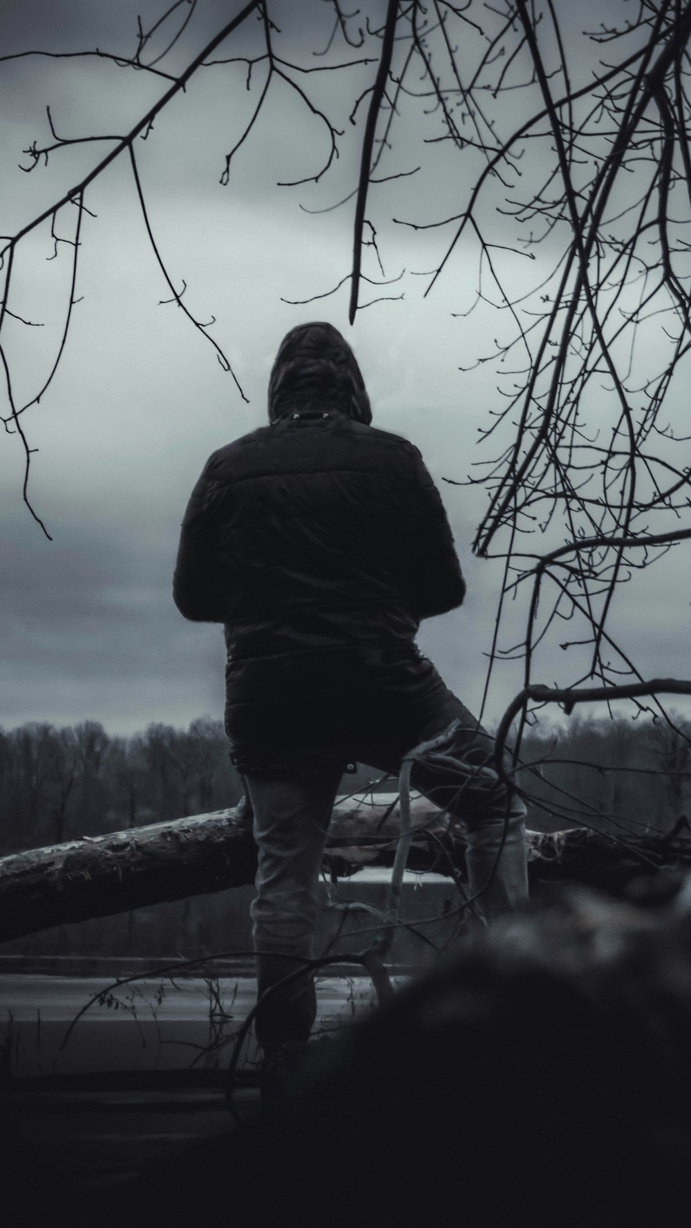 grayscale photo of person in black jacket and black pants standing near bare tree