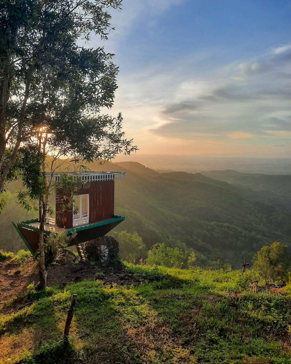 green tree on mountain during daytime