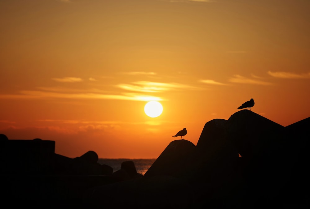 silhouette of people sitting on rock formation during sunset