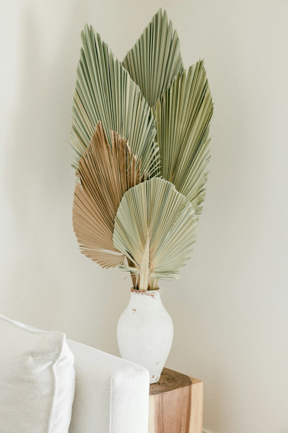 green and brown plant on white ceramic vase