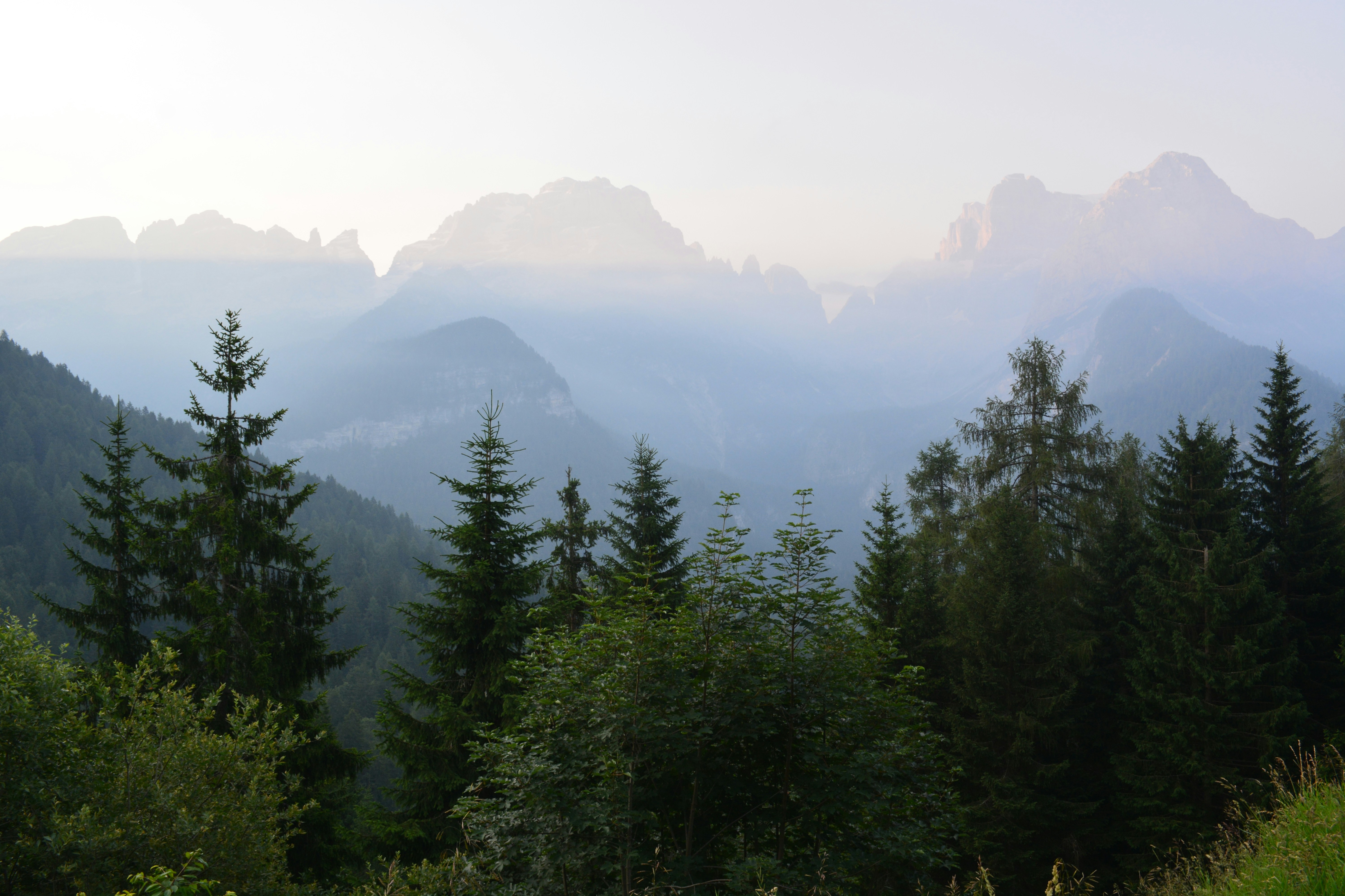 Photo by pedrino5_official