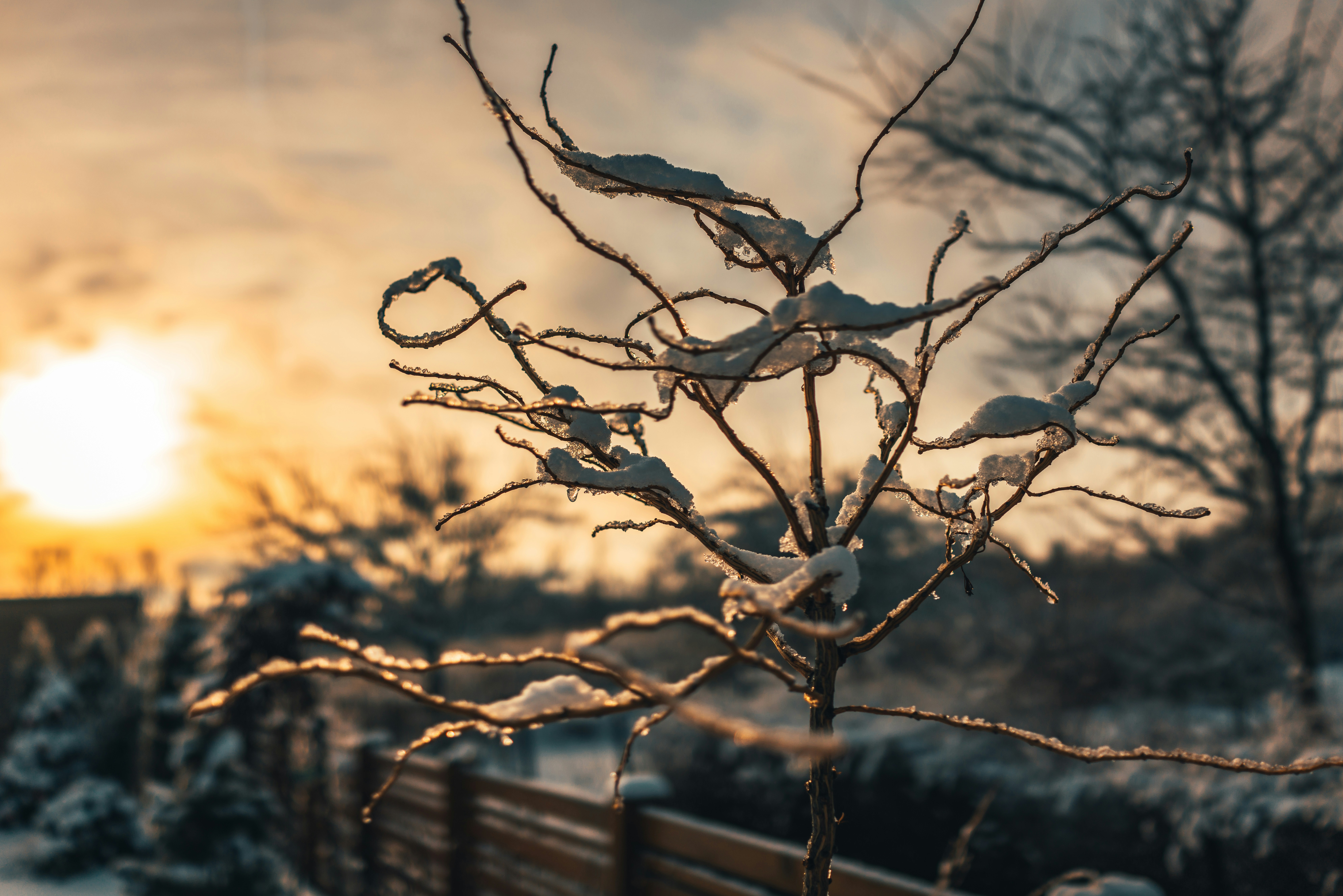 Photo by raimondklavins