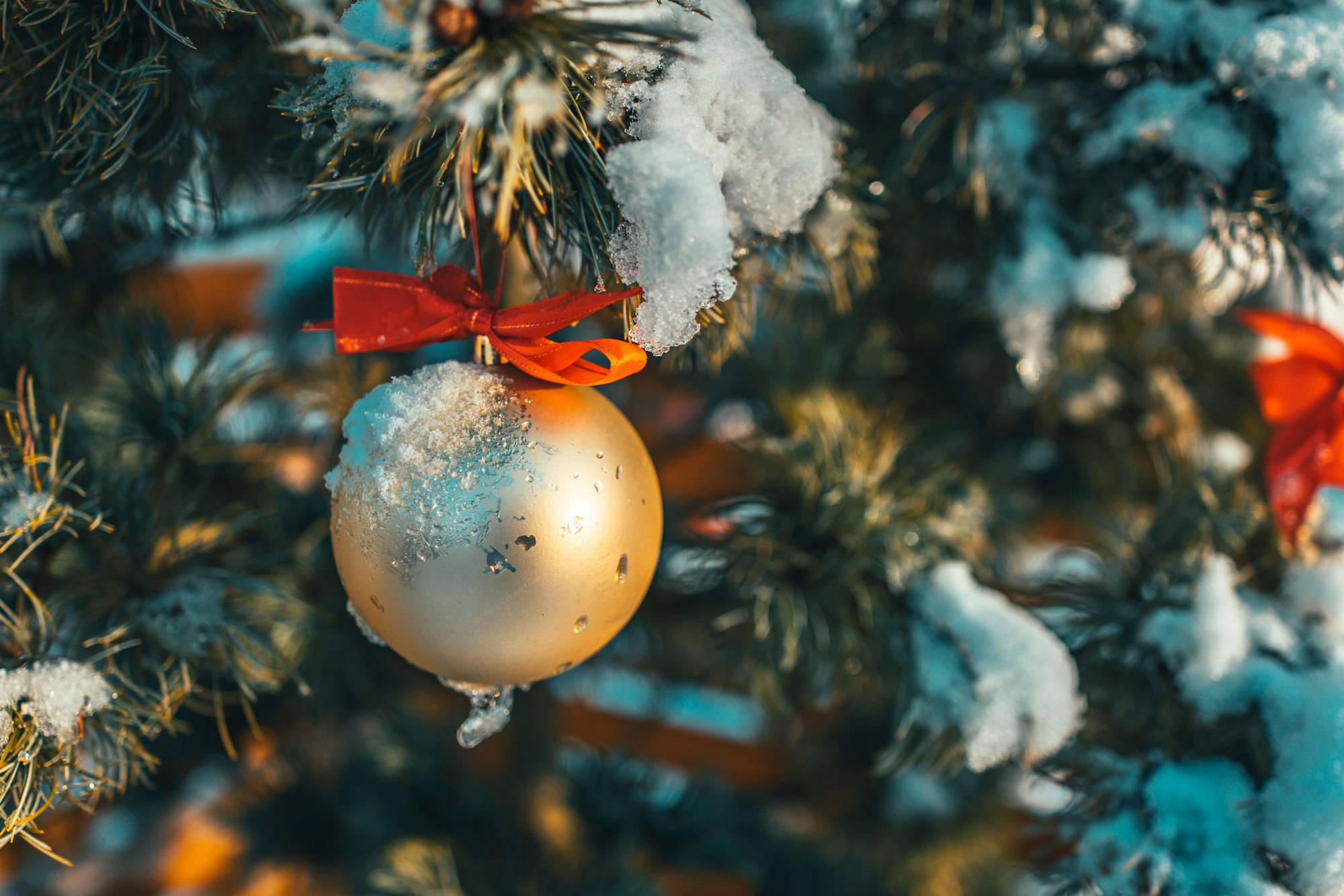 Christmas golden ball and tree branch. Christmas decorations.