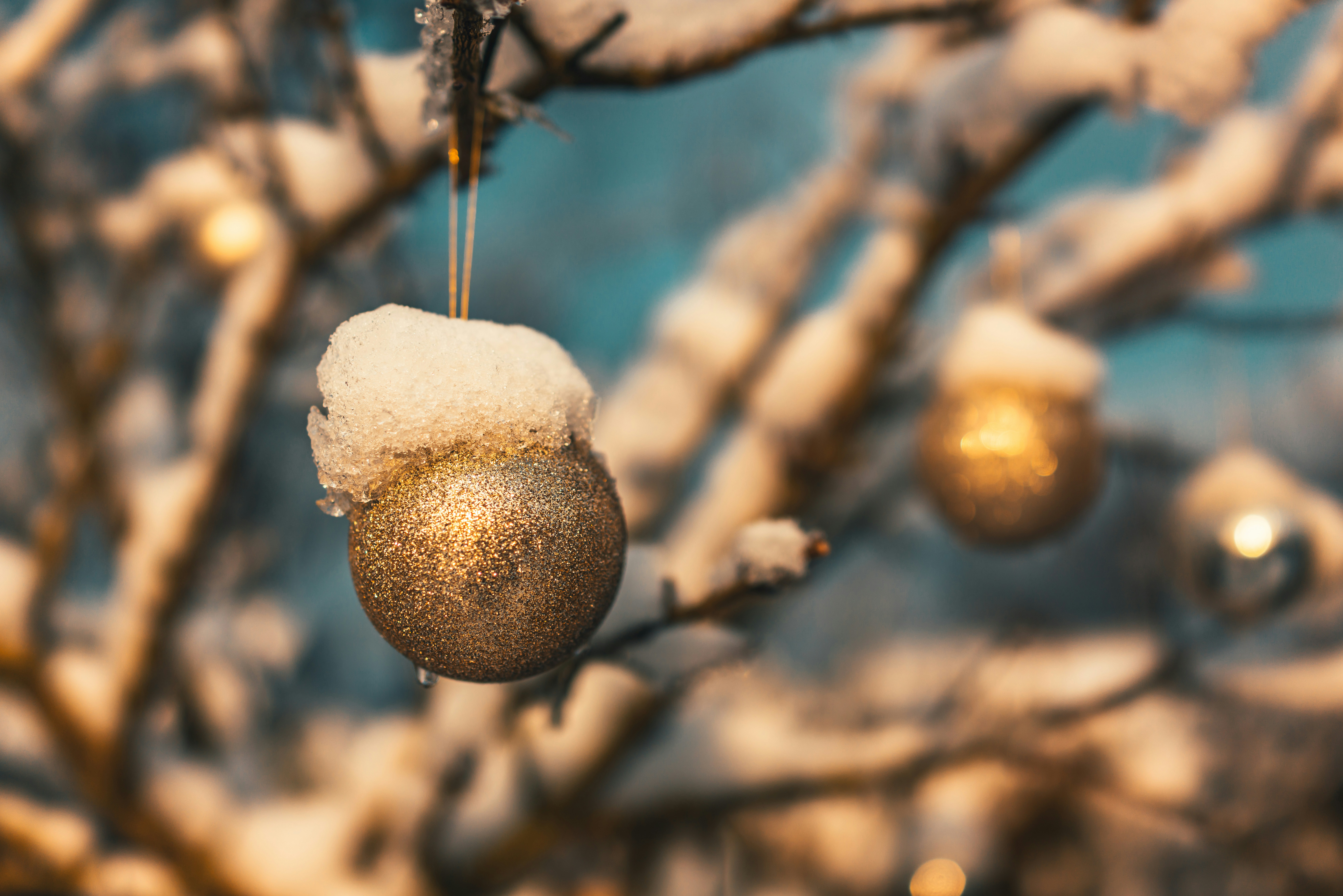 Photo by raimondklavins