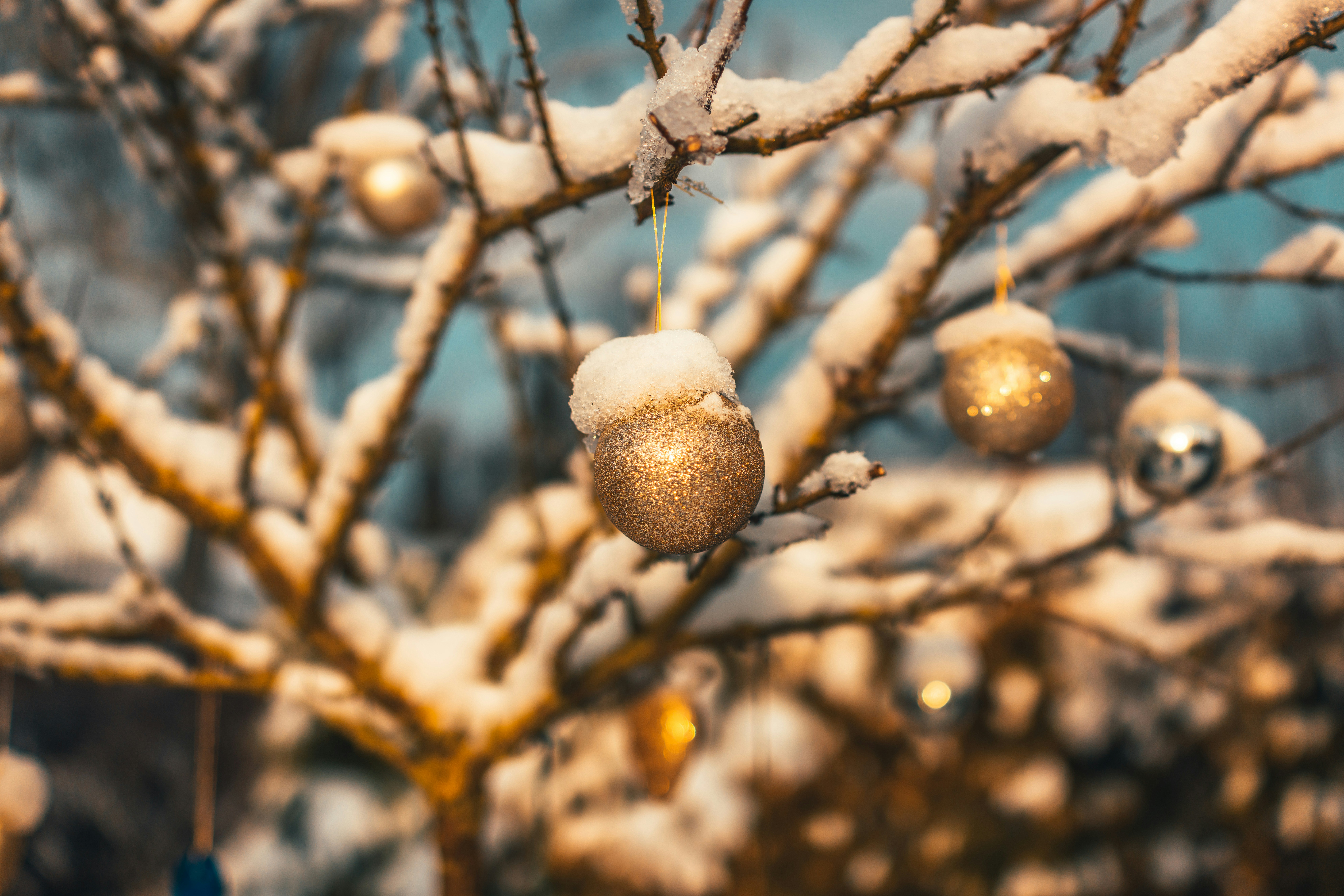 Photo by raimondklavins