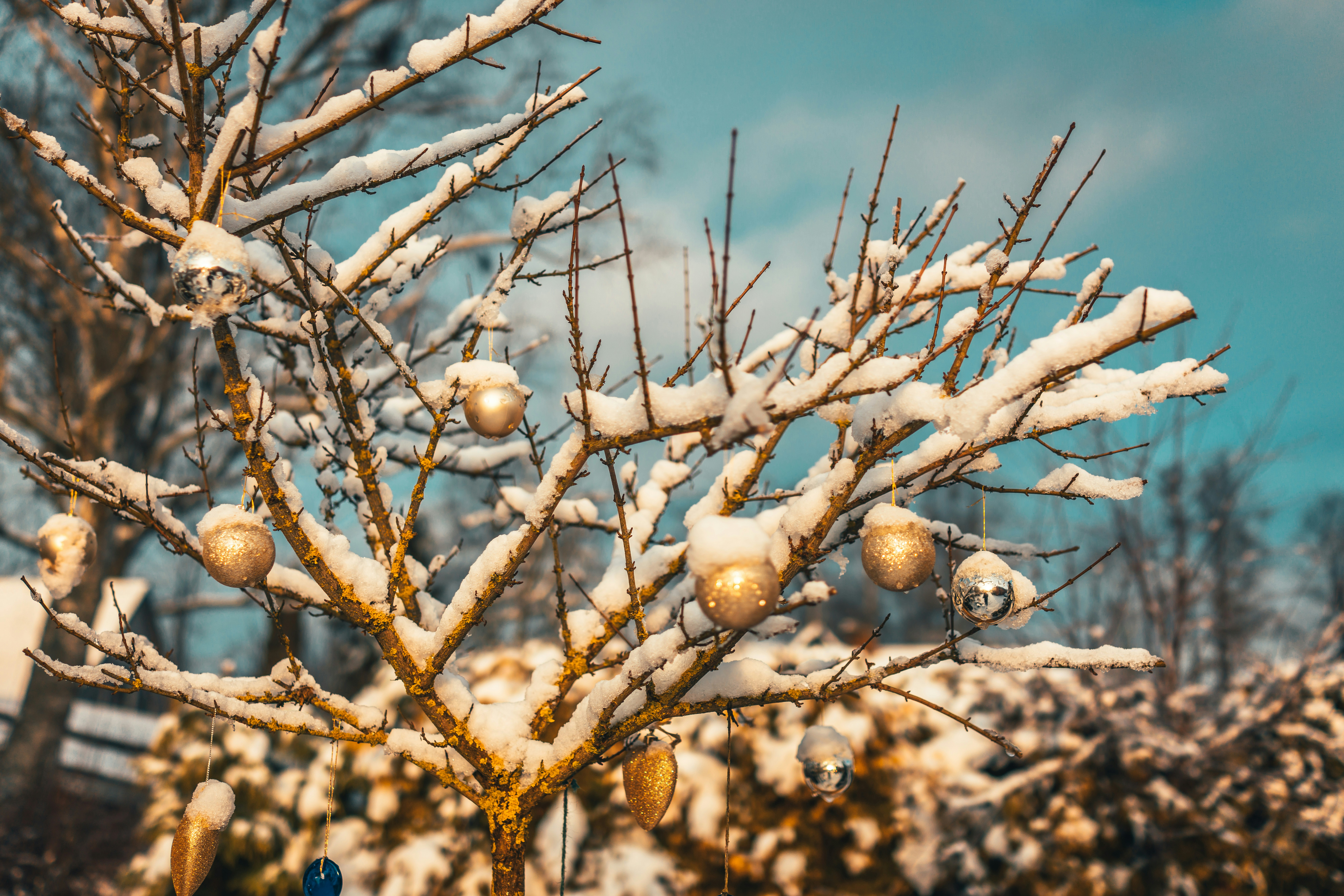 Photo by raimondklavins