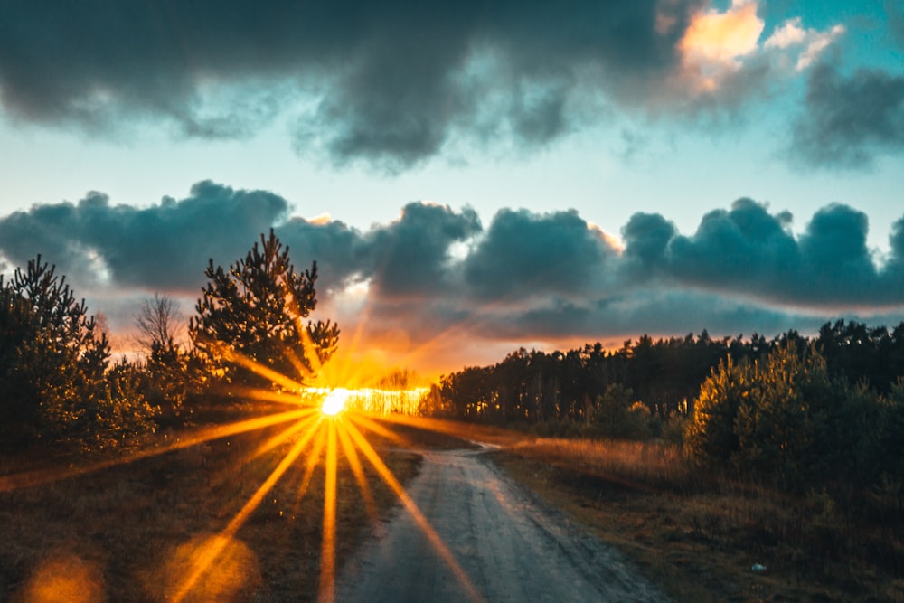 sun setting over the trees