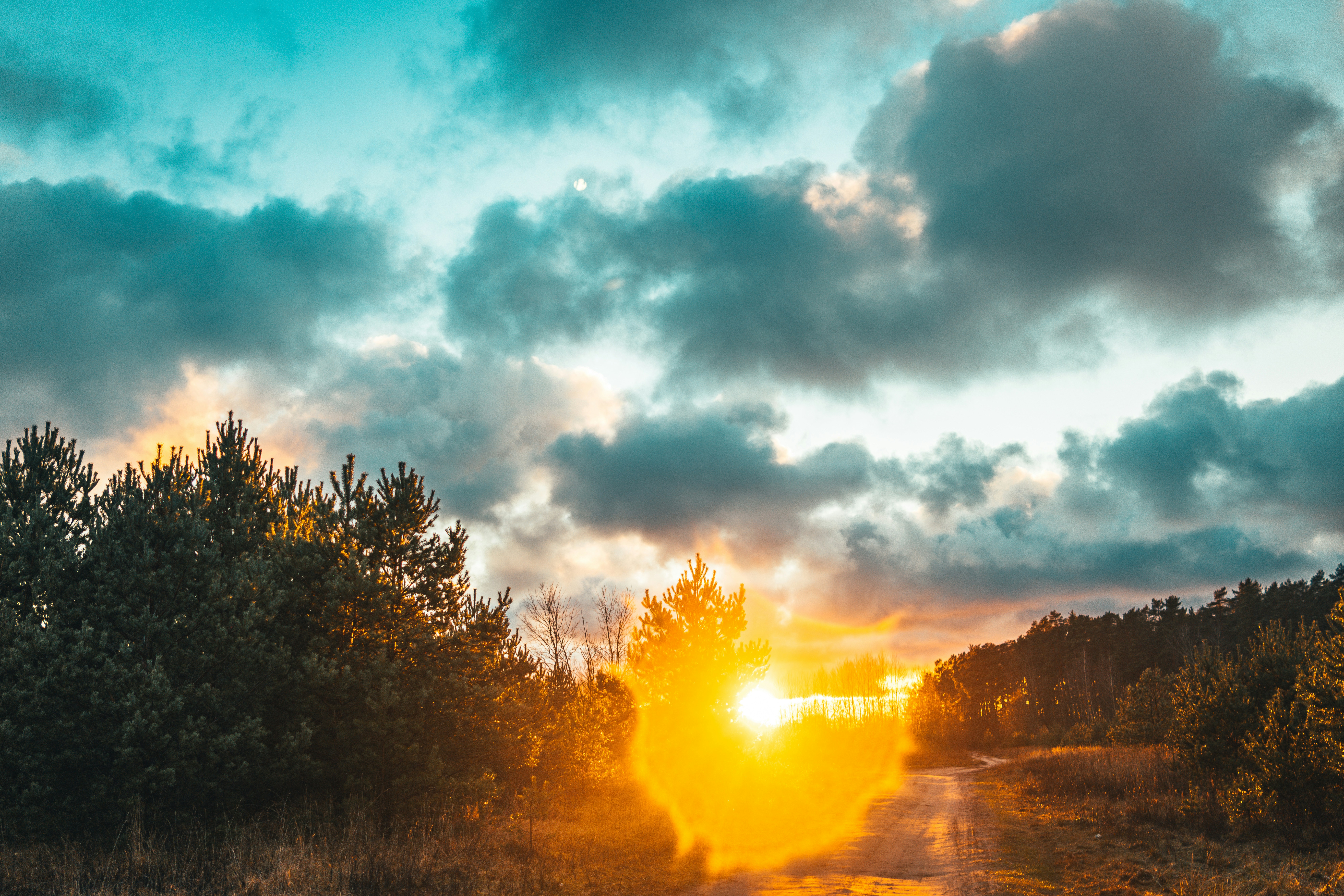 Photo by raimondklavins