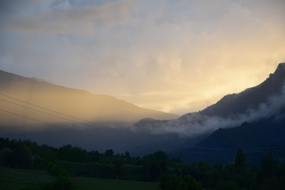 green trees and mountains during daytime