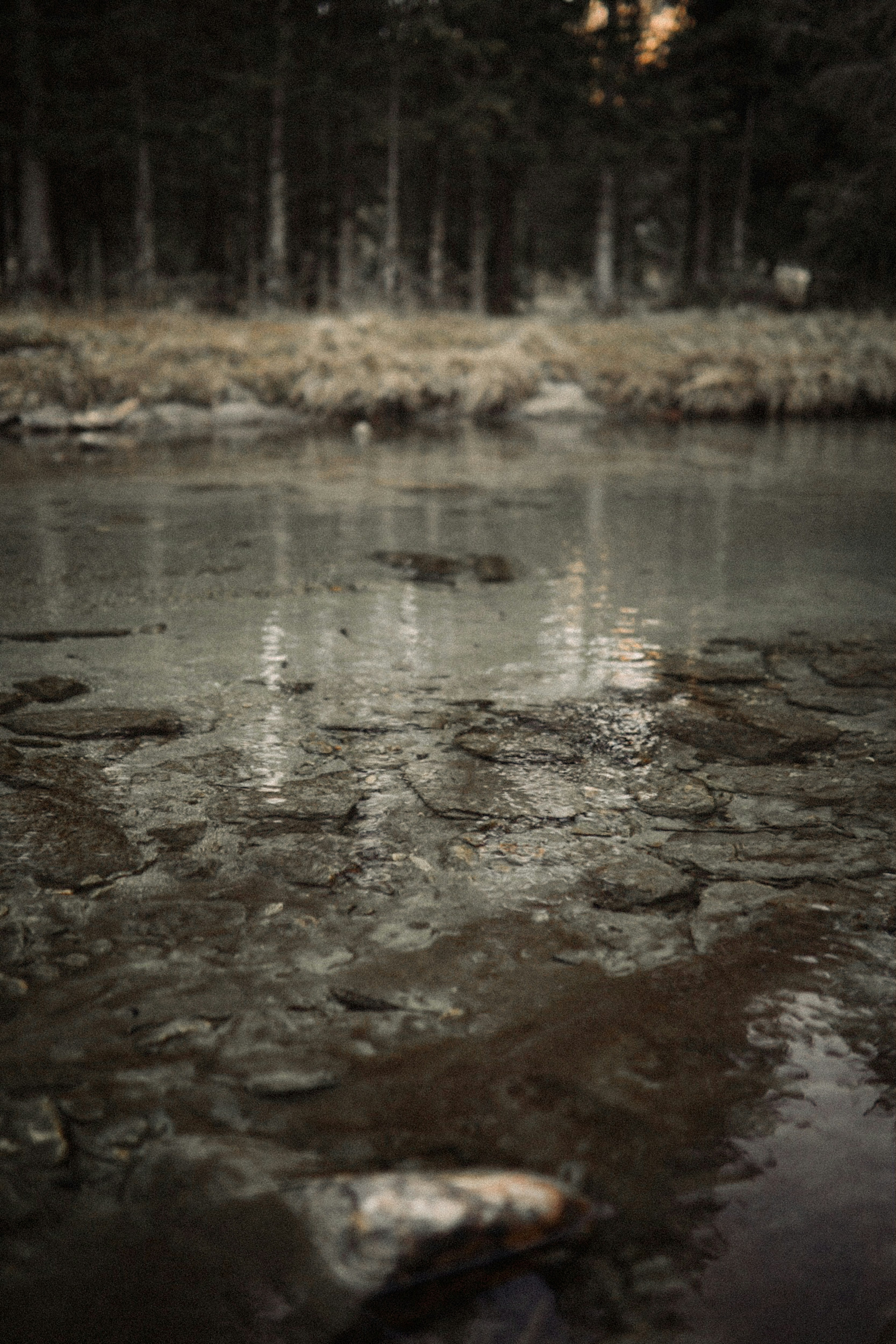 Photo by kajareichardtphotos