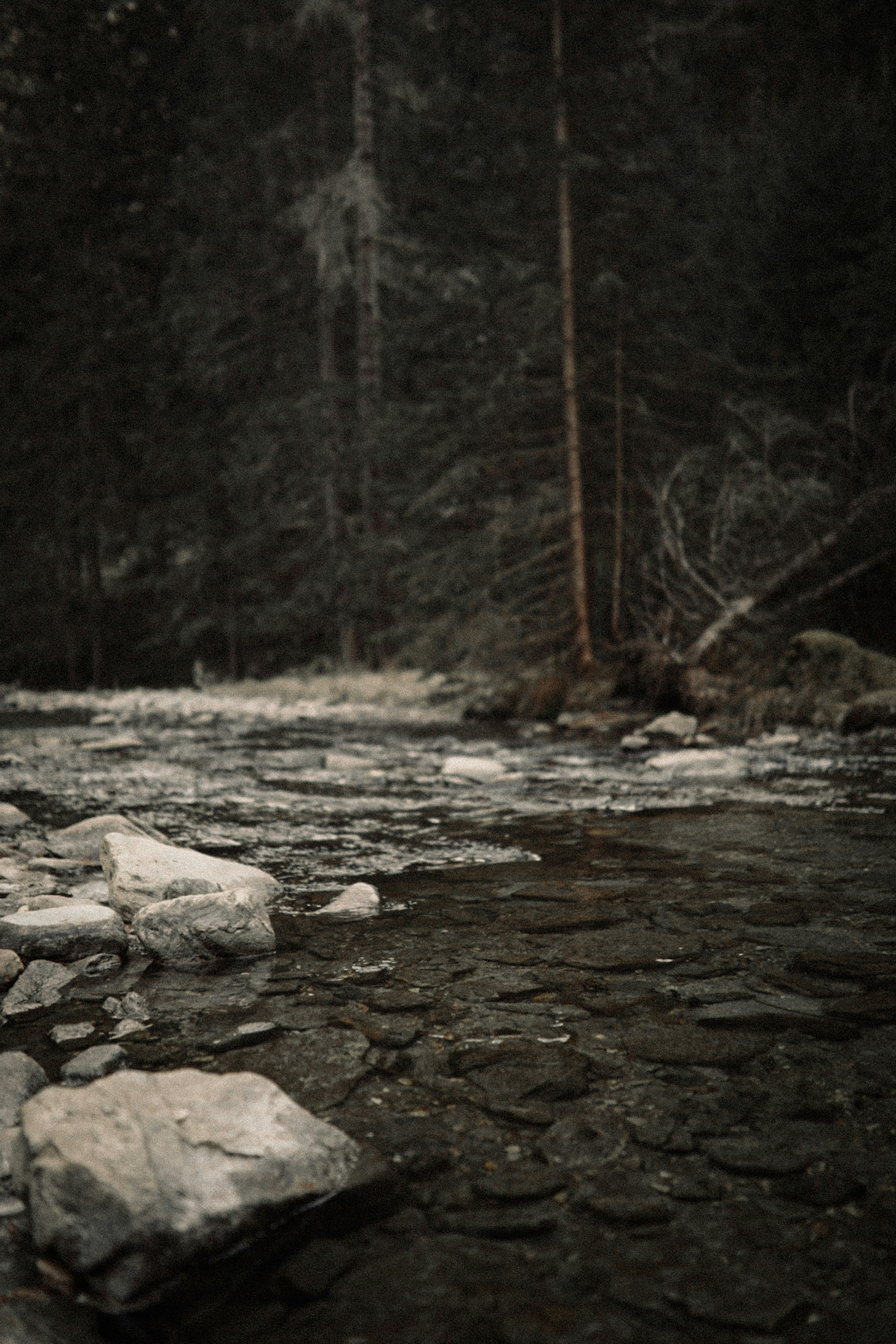 Photo by kajareichardtphotos