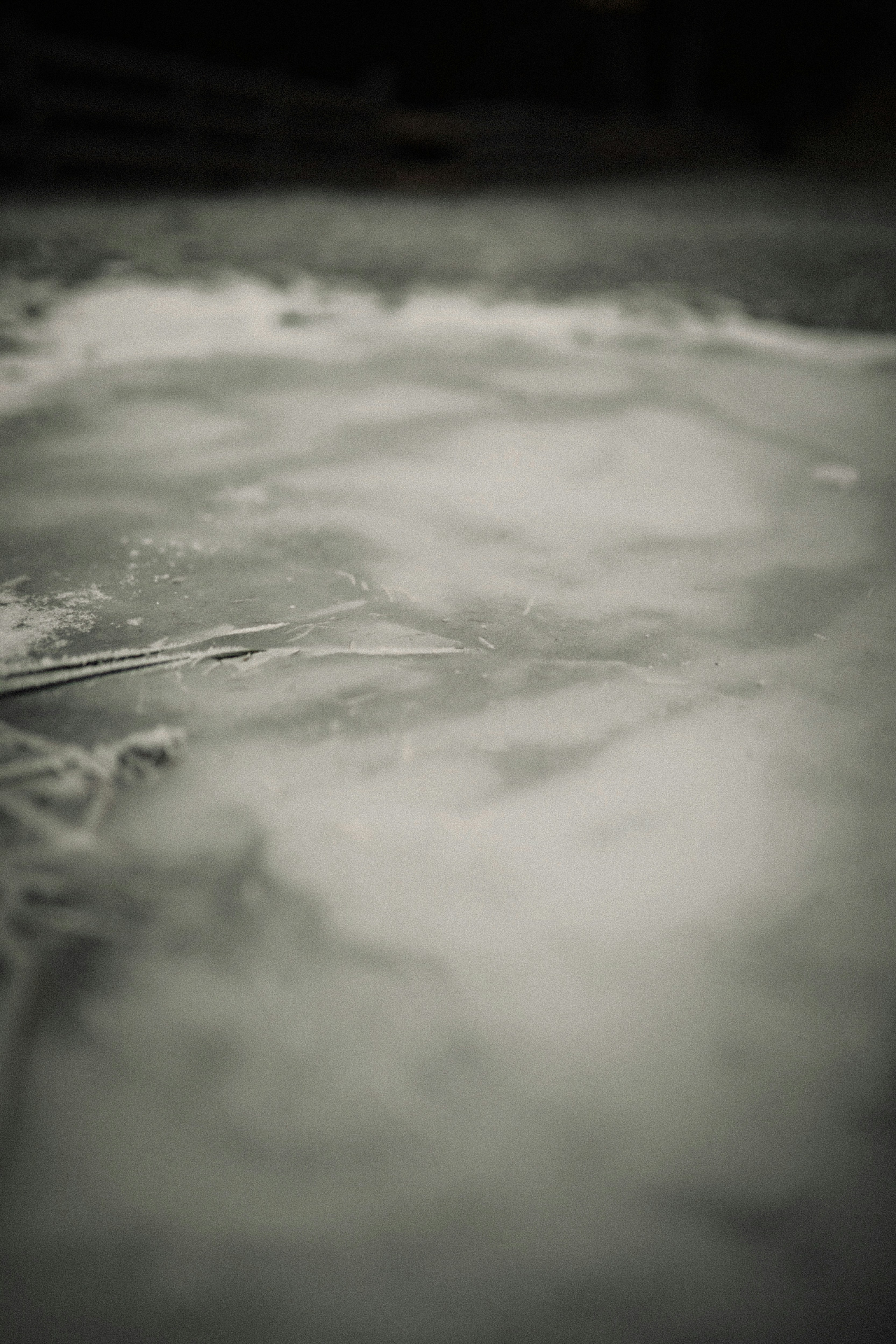 Photo by kajareichardtphotos