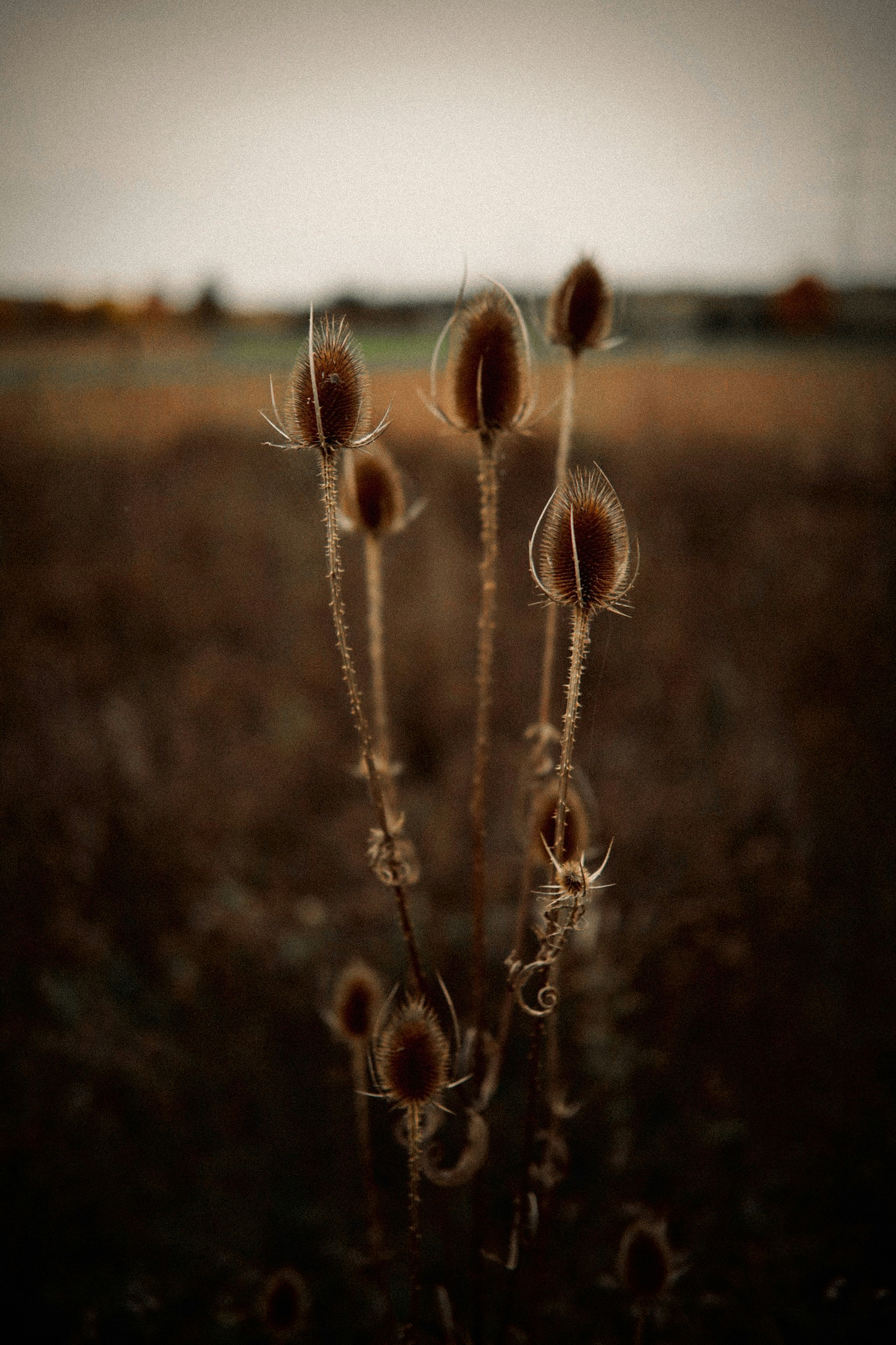 Photo by kajareichardtphotos