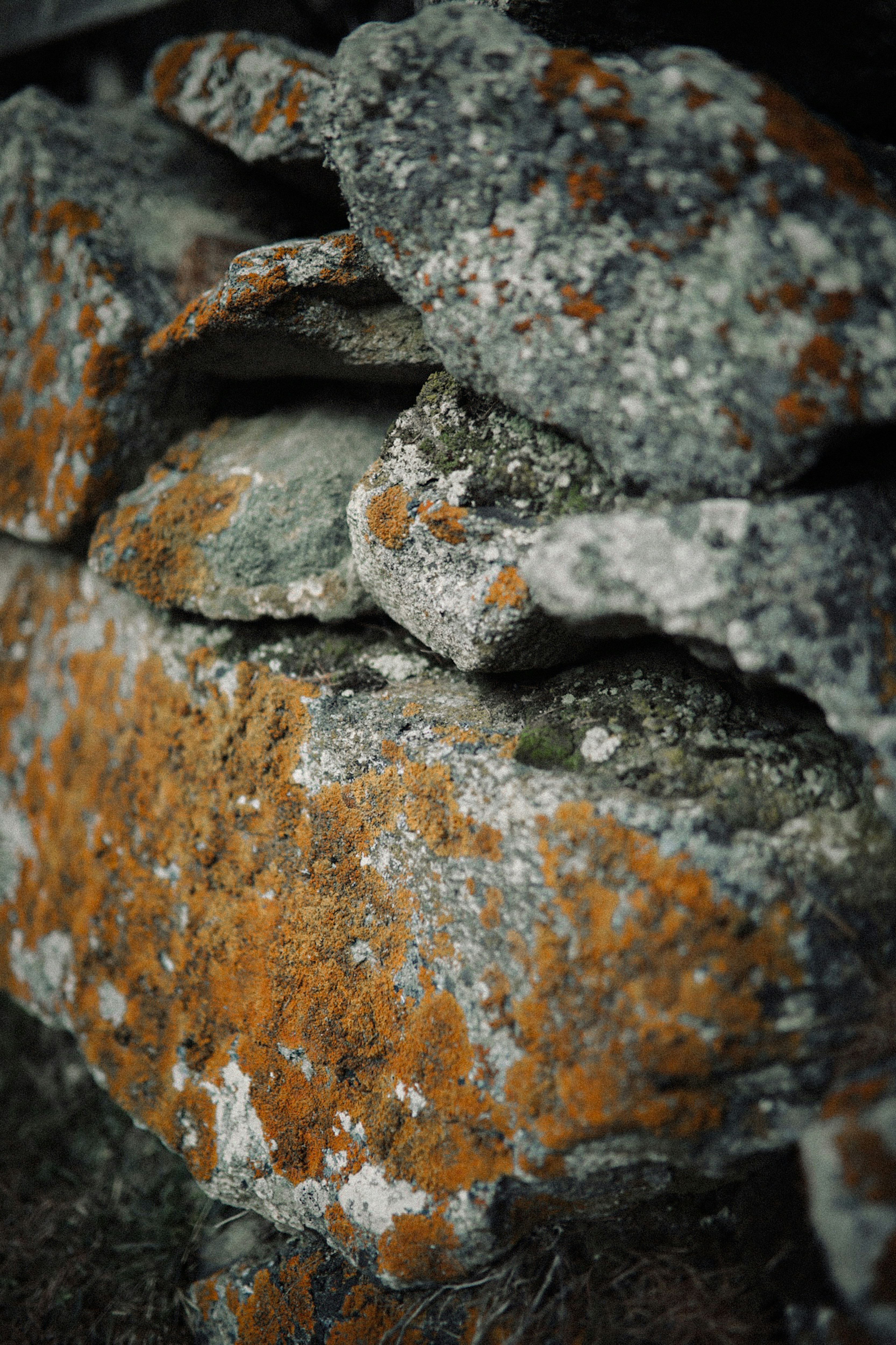 Photo by kajareichardtphotos