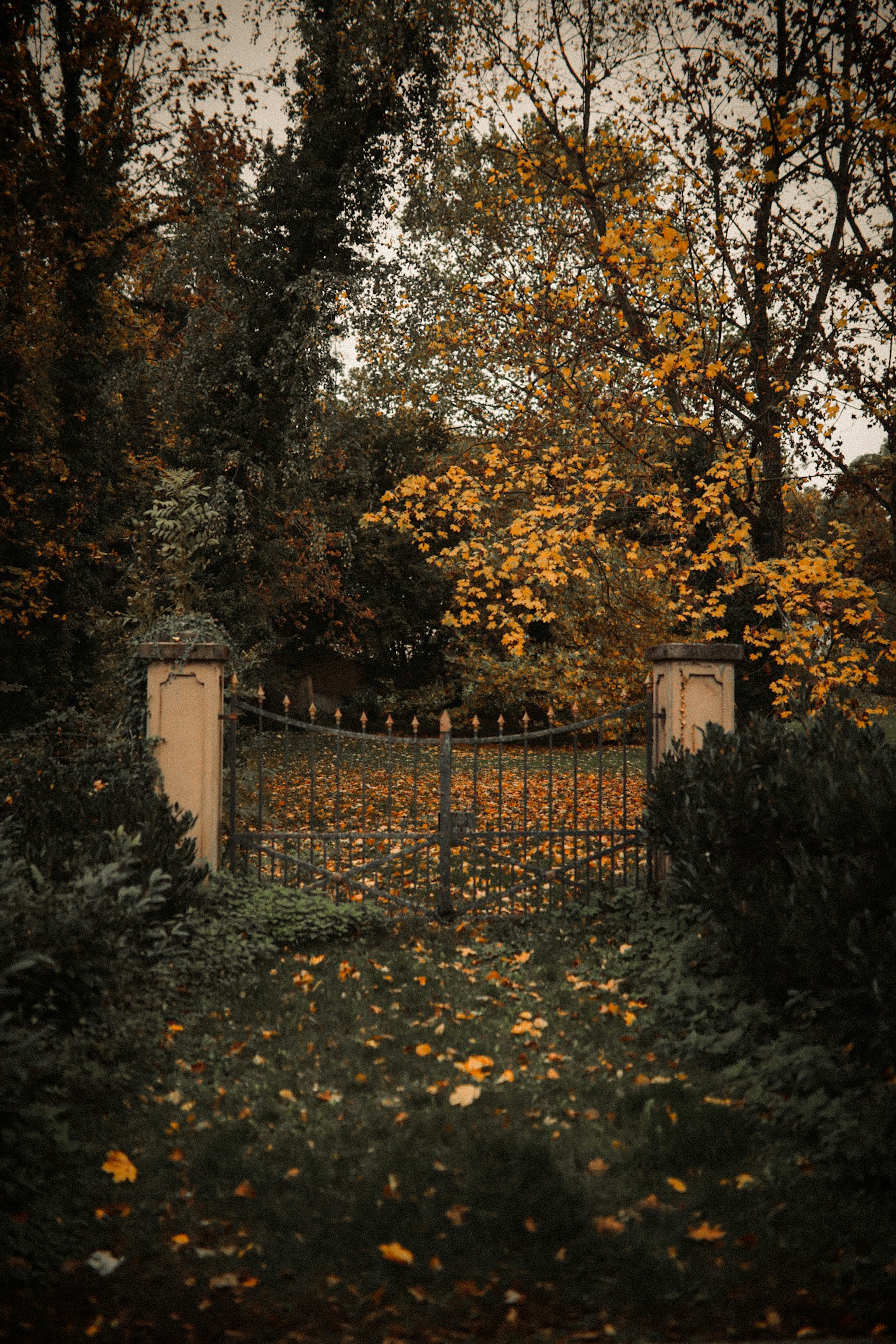 Photo by kajareichardtphotos