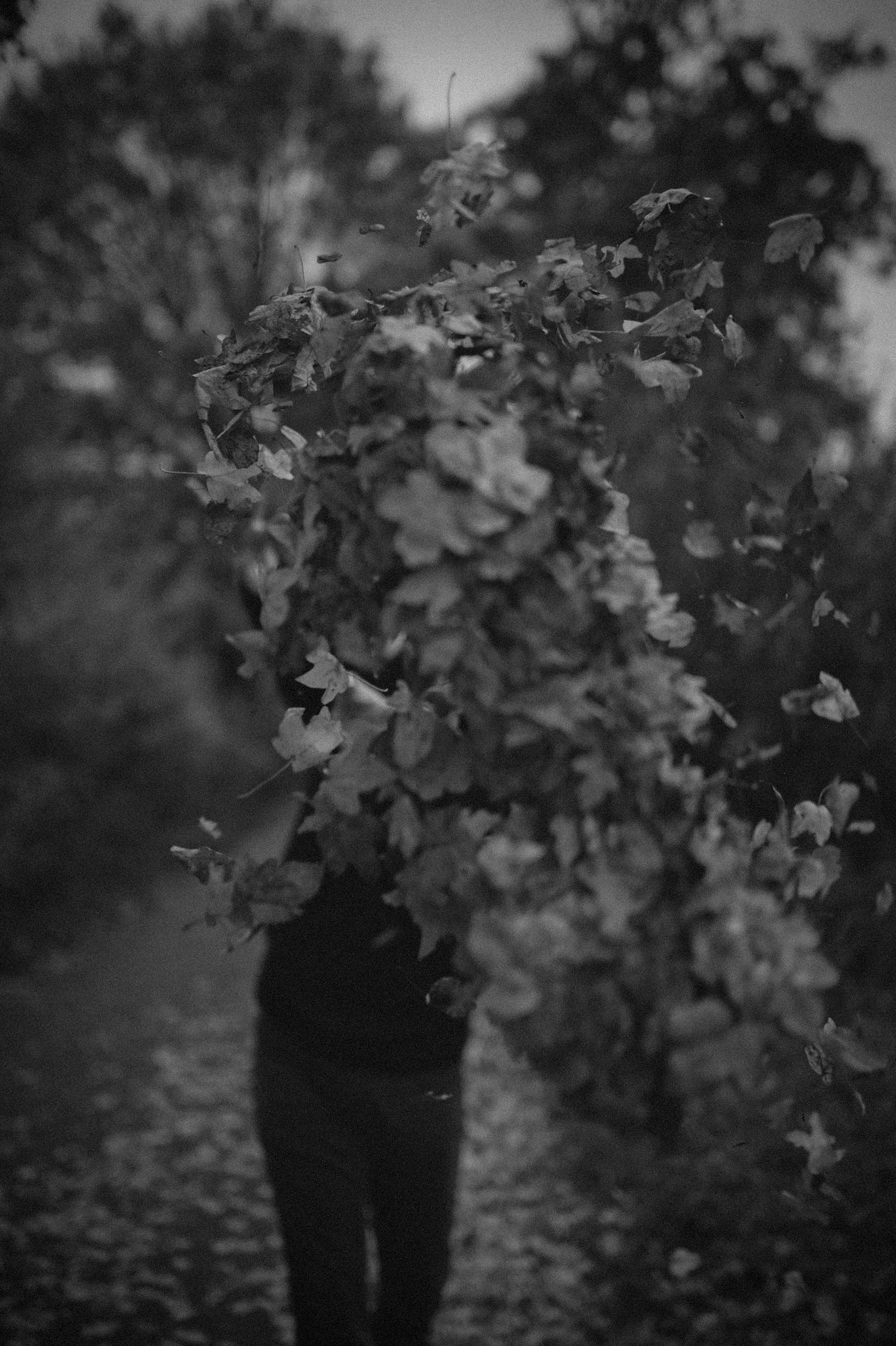 Photo by kajareichardtphotos