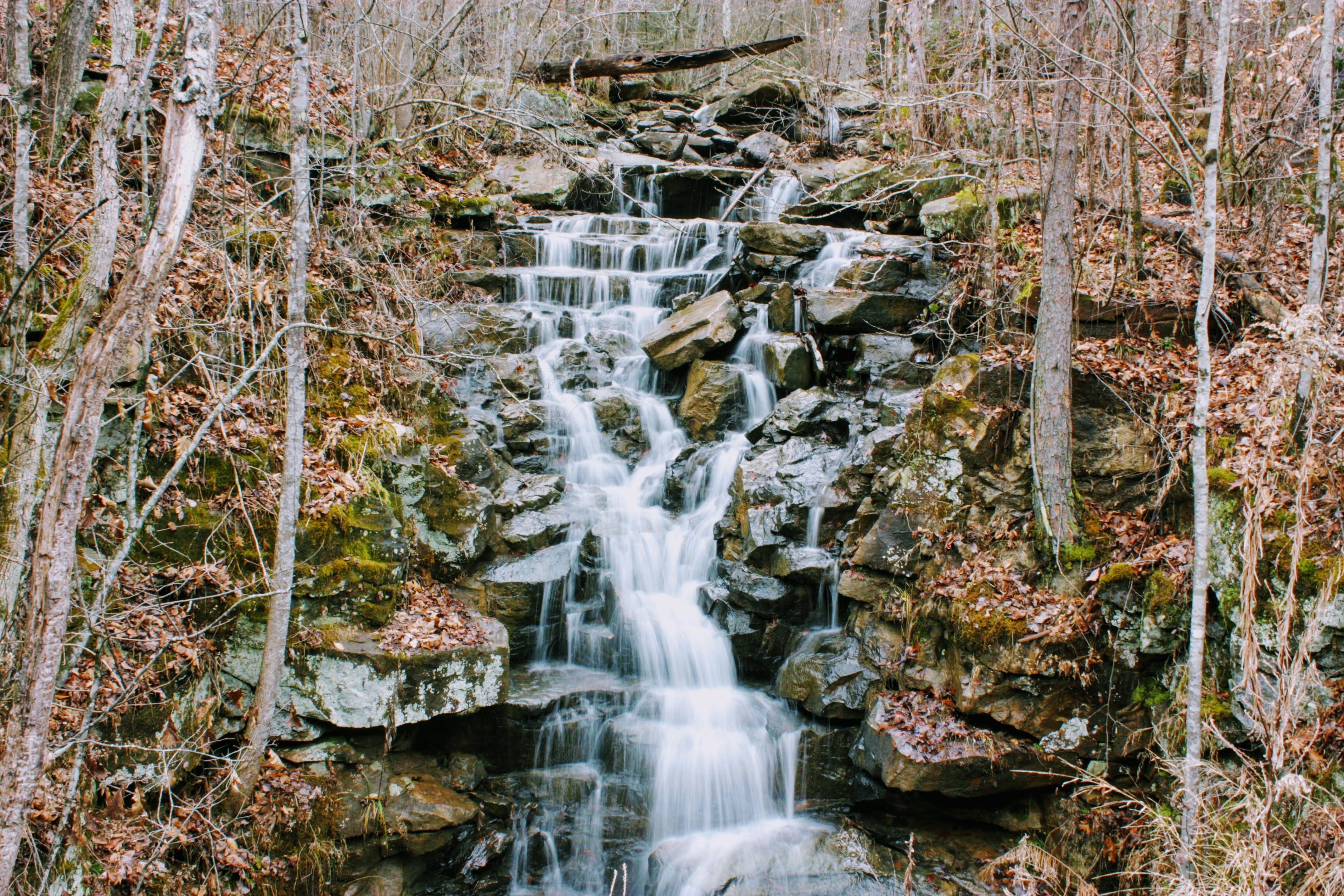 Photo by brice_cooper18