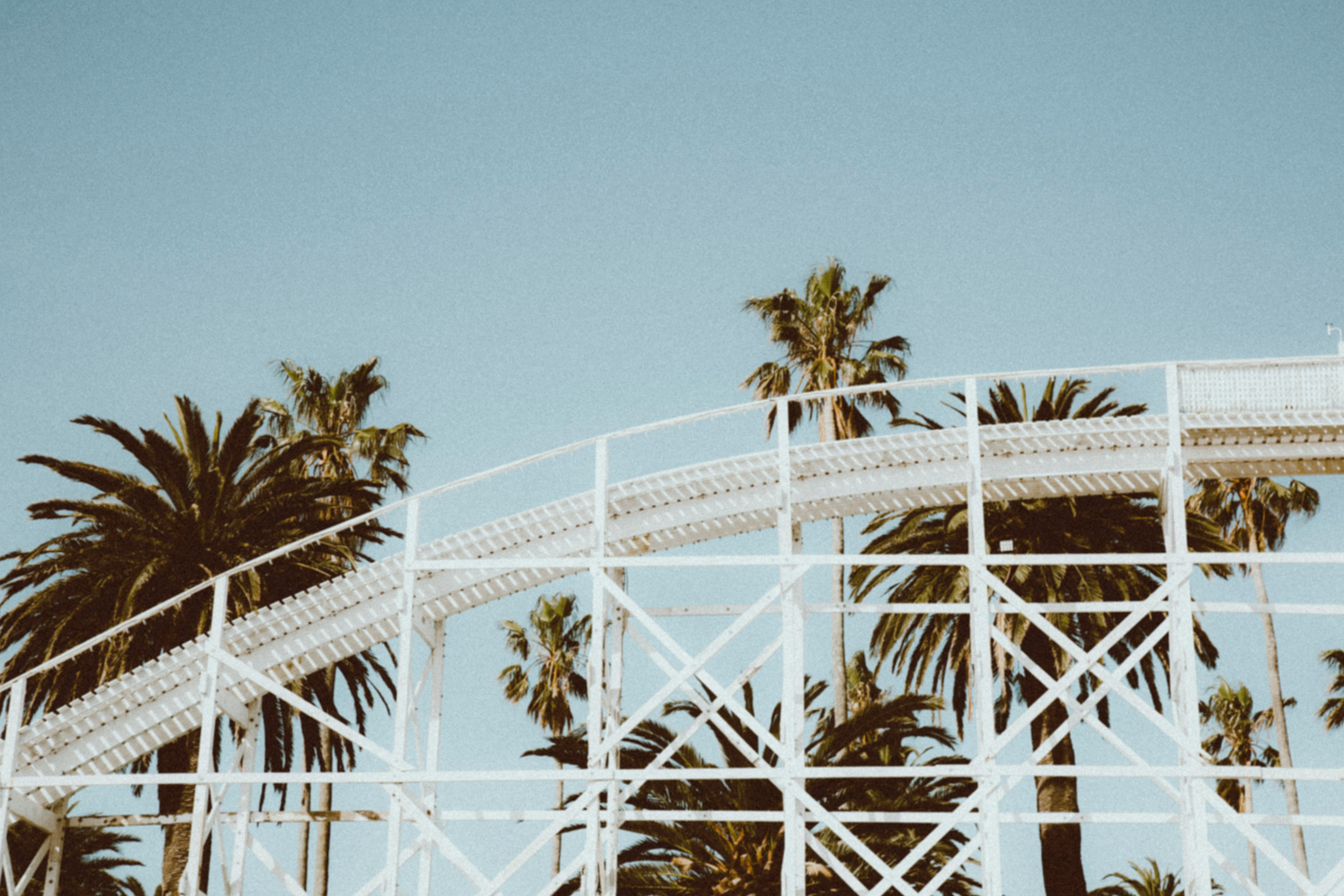 Riding the Rollercoaster: How Sharp Aussie Punters Are Weaponising Volatility