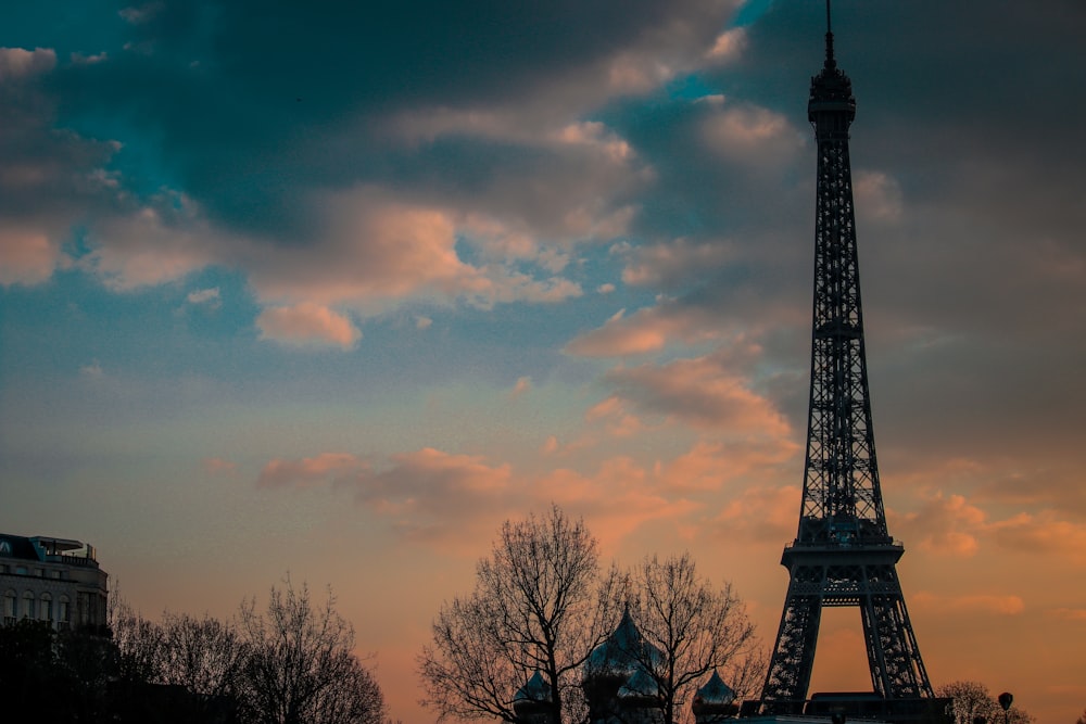 silhouette of trees and eiffel tower during sunset