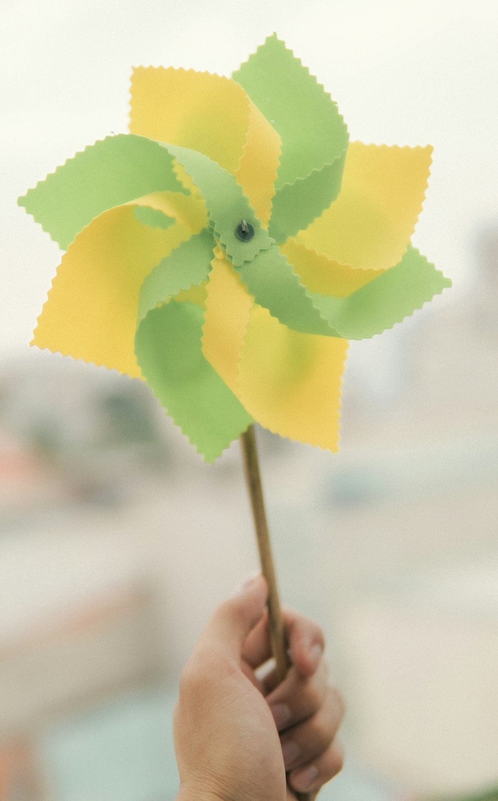 yellow and green flower paper