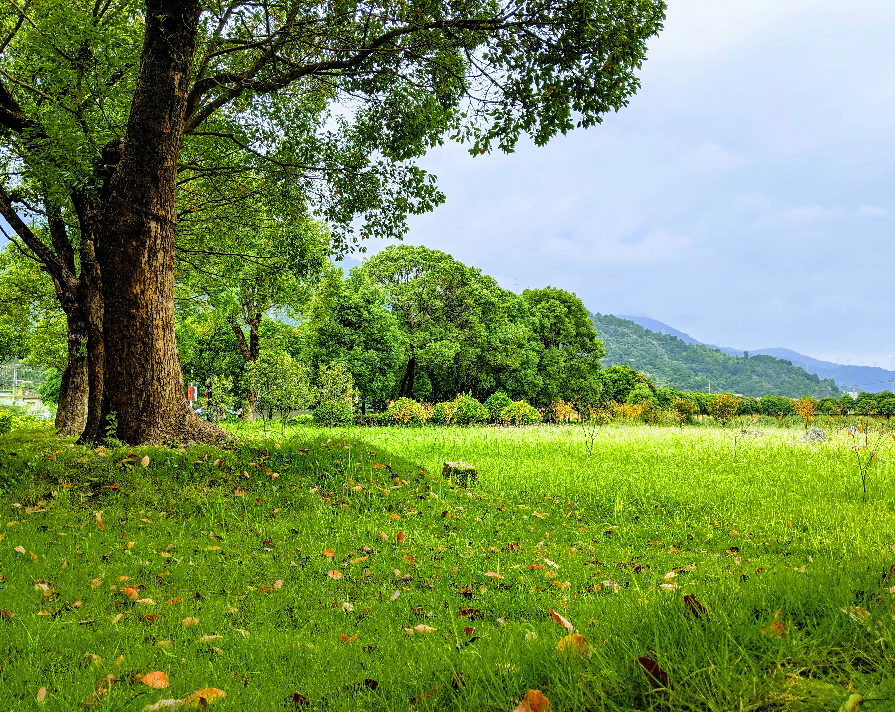 Photo by shredder2002