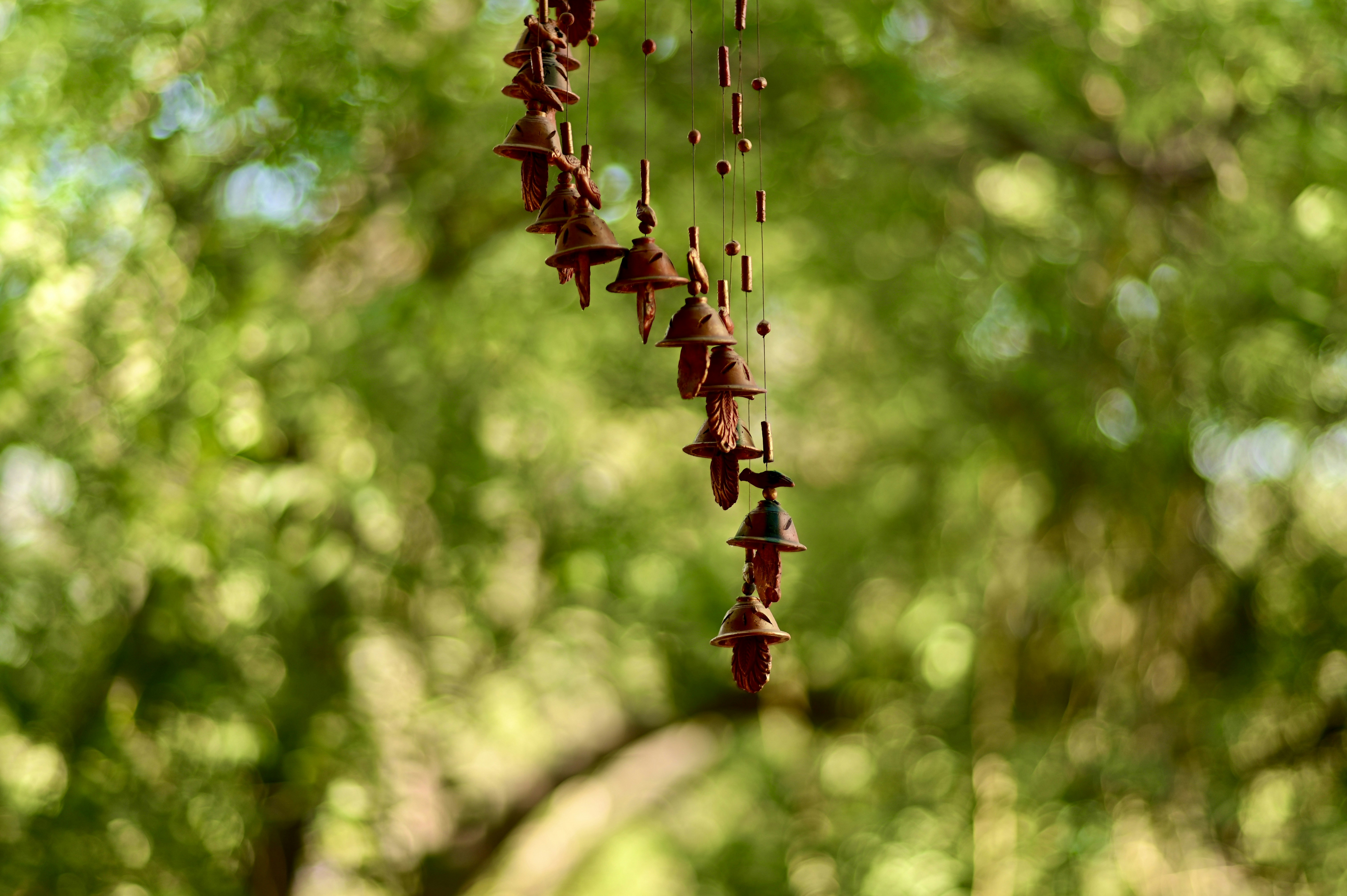 Photo by rrajputphotography