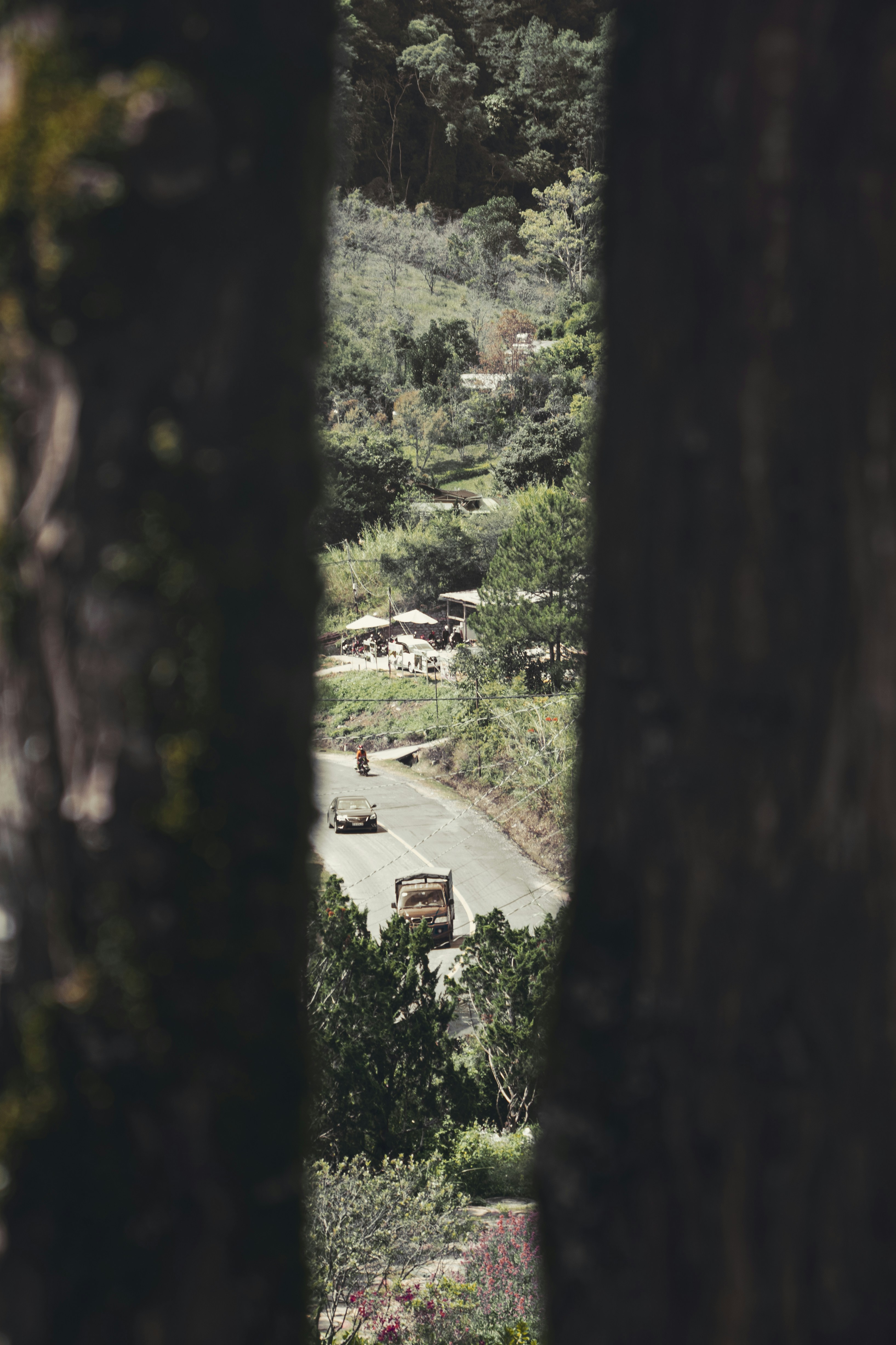 Photo by drewhoangphoto